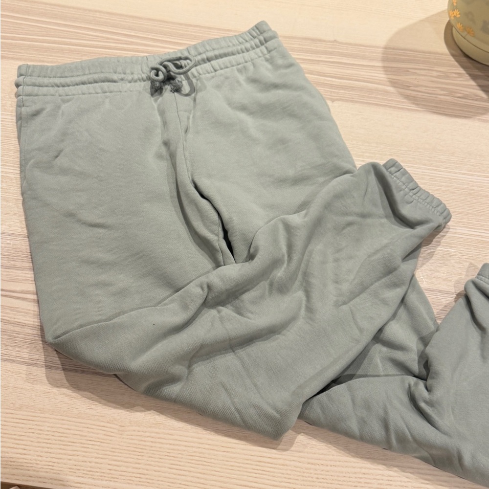 Aritzia - Tna CozyAF sweat pants in mint green